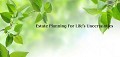 Estate Planning Solutions PLLC - Rochester
